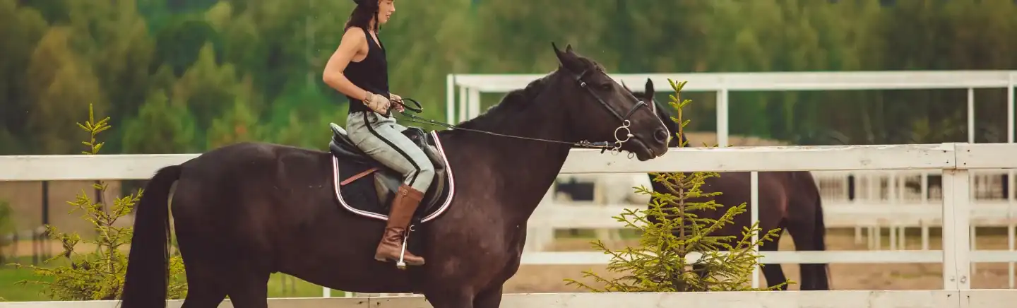 Ragazza in sella a un cavallo baio scuro cammina in un paddock recintato di bianco