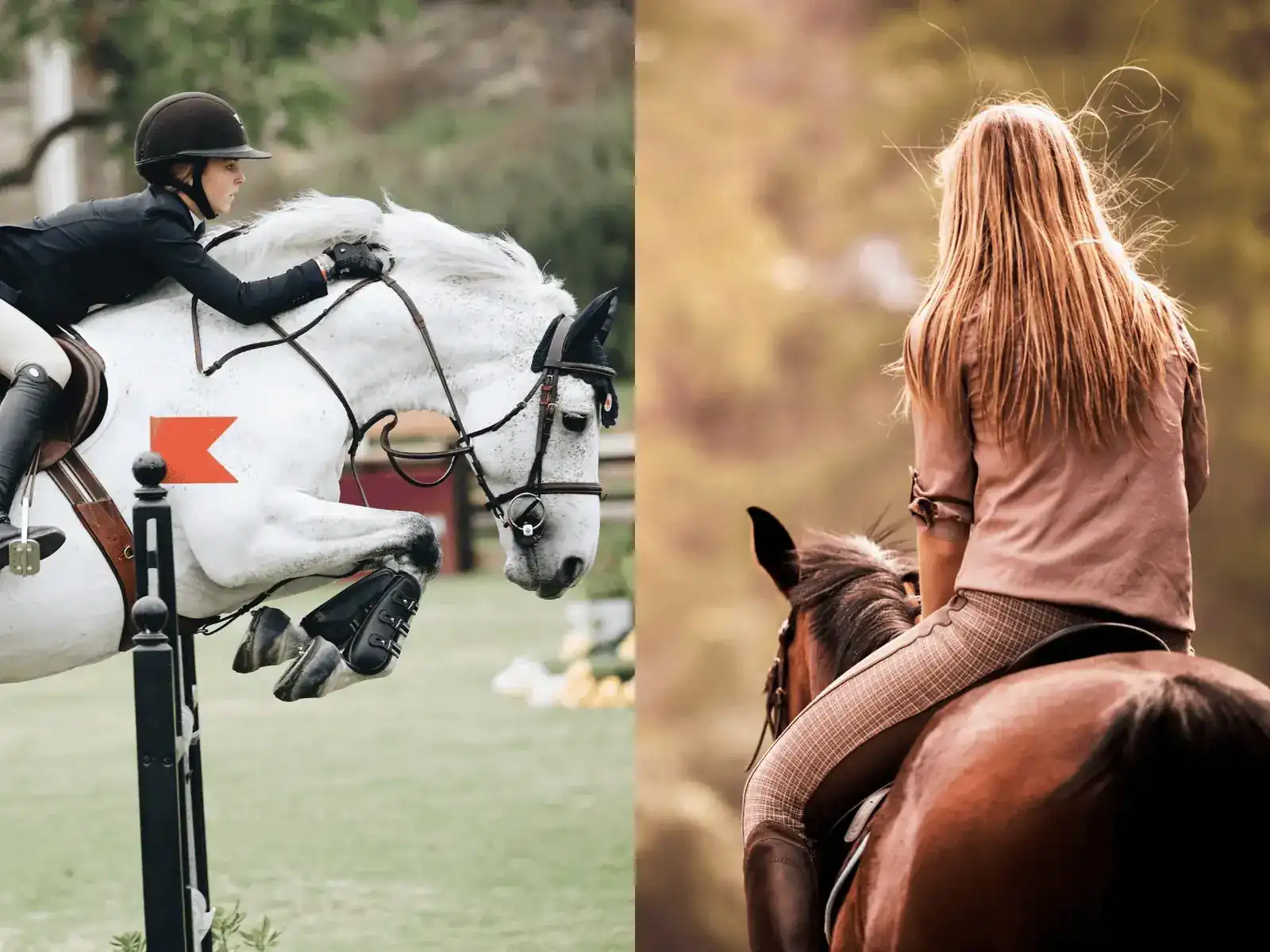 Collage con un salto a ostacoli in tenuta da concorso e una passeggiata a cavallo