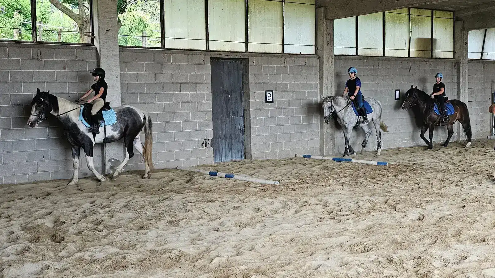 Tre allievi in sella durante una lezione di gruppo nel campo coperto del maneggio