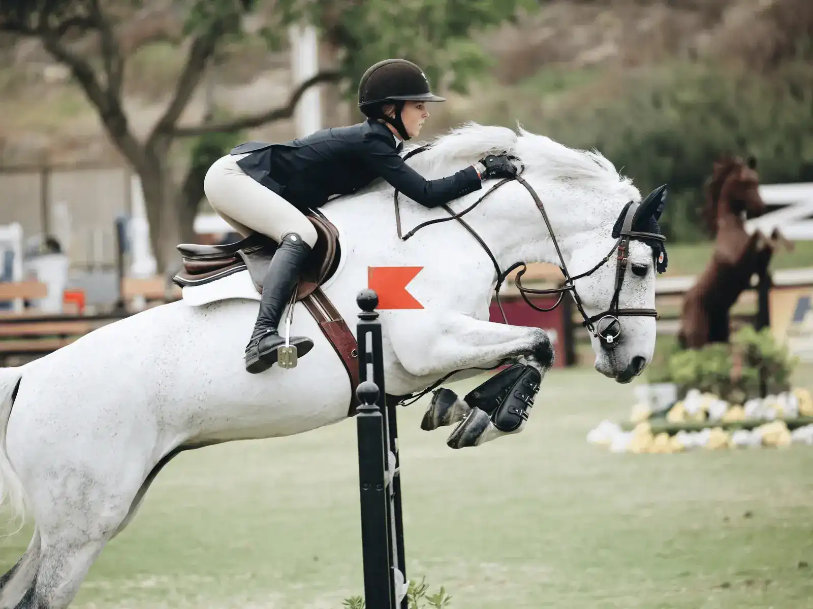 Amazzone in assetto da salto supera un ostacolo in sella a un cavallo grigio