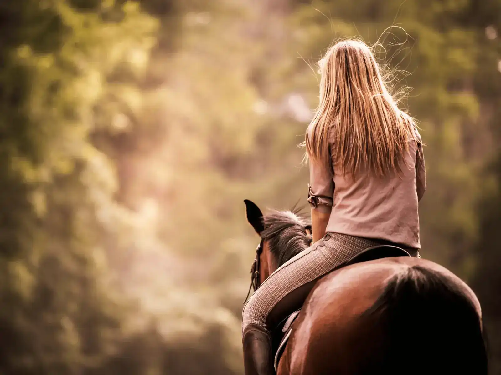 Amazzone di spalle percorre a cavallo un sentiero nel bosco illuminato dal sole caldo