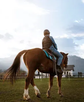 Giovane cavaliere di spalle in sella a un cavallo sauro in un prato tra le montagne
