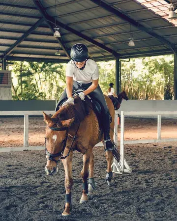 Allieva con cap si sporge sul collo del suo cavallo sauro tra gli ostacoli del campo coperto