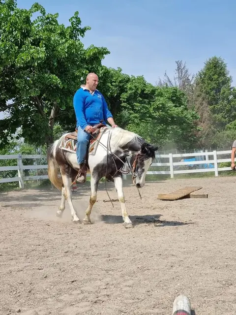 Cavaliere in sella western guida un cavallo pezzato nel campo del maneggio Mitena Ranch