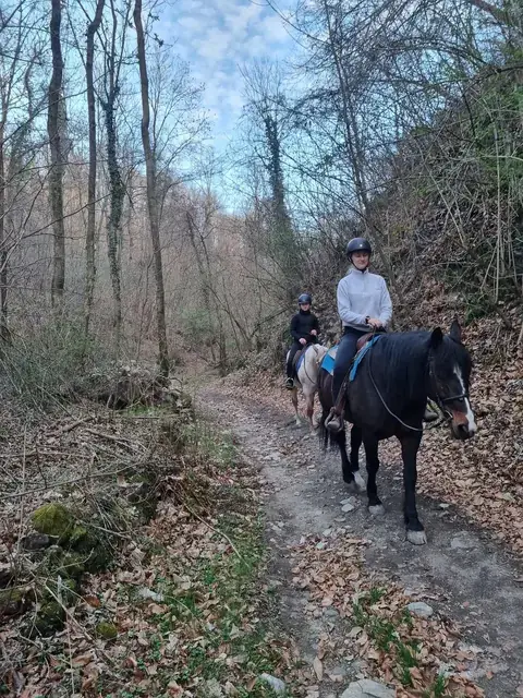 Due cavalieri con casco percorrono un sentiero nel bosco durante un trekking a cavallo