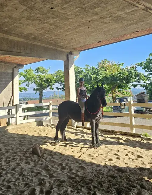 Amazzone in sella a un cavallo morello nel campo coperto affacciato sulle colline e sul lago