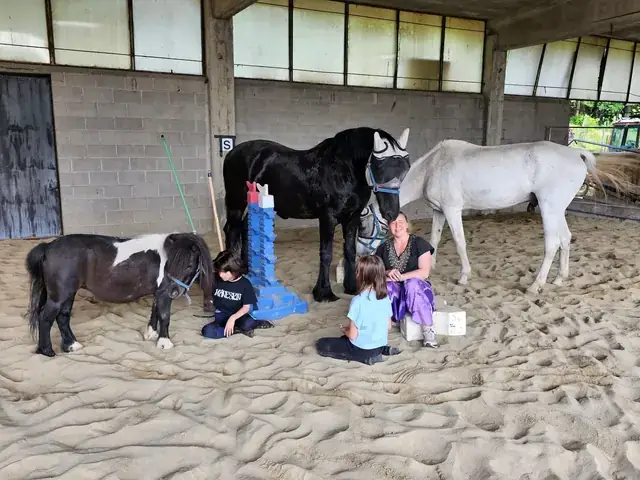 Due bambini seduti sulla sabbia del maneggio coperto insieme a pony, cavalli e istruttrice