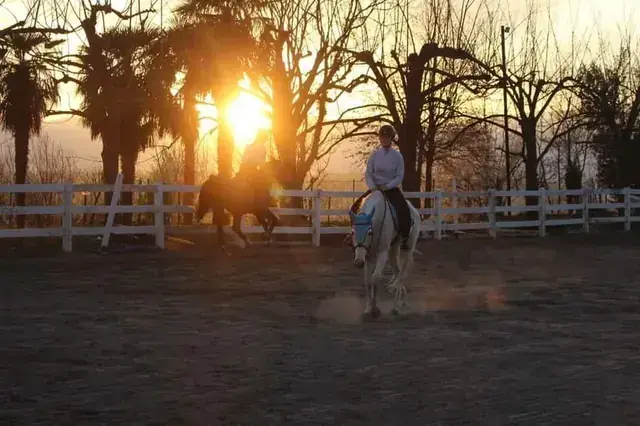 Due cavalieri nel campo del maneggio illuminati dal sole al tramonto, in controluce