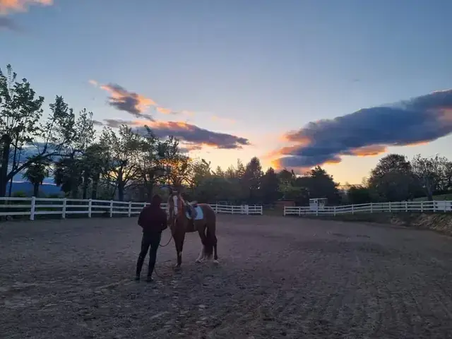 Una persona conduce a mano un cavallo sellato nel campo recintato mentre cala il tramonto