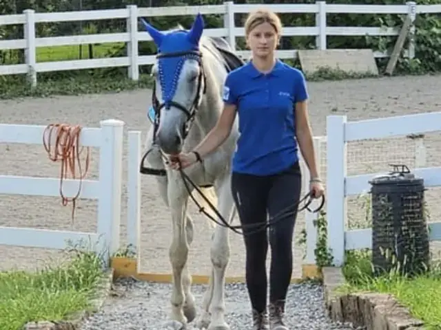 Istruttrice in polo blu conduce a mano un cavallo con cuffietta blu verso il campo