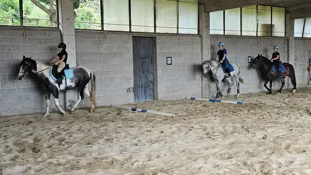 Tre allievi in sella durante una lezione di gruppo nel campo coperto del maneggio