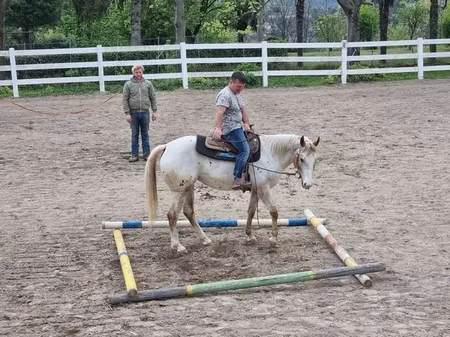 Allievo in sella a un appaloosa durante una lezione di monta americana nel campo esterno
