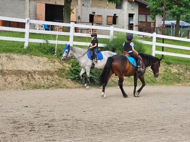 Due bambini con casco cavalcano un cavallo grigio e uno baio nel campo esterno