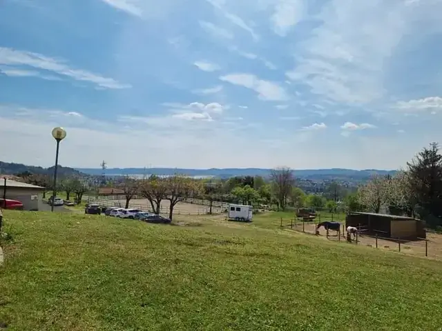 Prato e paddock del maneggio con cavalli al riparo e il lago sullo sfondo in primavera