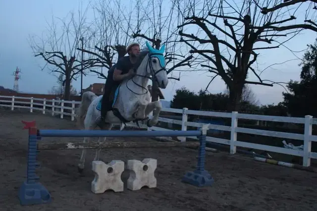 Cavaliere supera un ostacolo in sella a un cavallo grigio nel campo esterno